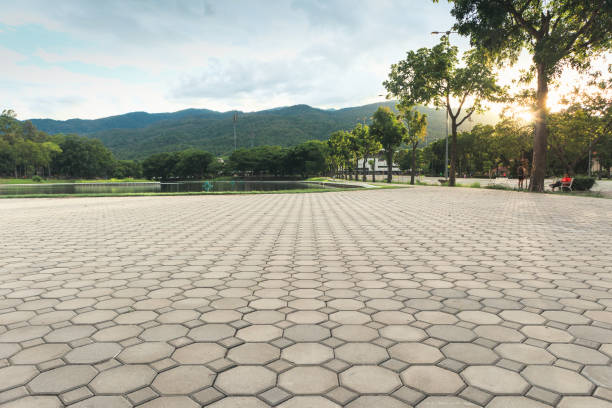 Best Commercial Driveway Pavers  in Landover Hills, MD