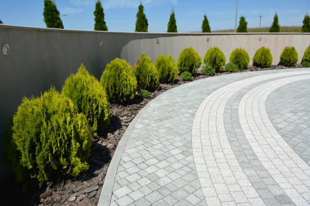 Best Residential Paver Driveway  in Landover Hills, MD